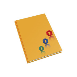 Beírókönyv A4, 192lap, Educa egyszínű vonalas