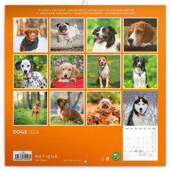 Falinaptár képes lemeznaptár 300x300mm, Dogs Realsystem 2026.