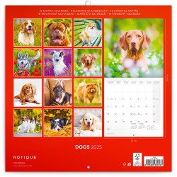 Falinaptár képes lemeznaptár 300x300mm, Dogs Realsystem 2026.