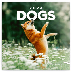 Falinaptár képes lemeznaptár 300x300mm, Dogs Realsystem 2026.