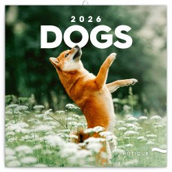 Falinaptár képes lemeznaptár 300x300mm, Dogs Realsystem 2026.
