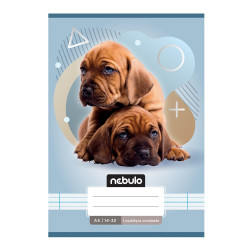 Füzet, A5, 2. osztályos vonalas, 16-32, Állatos minták, 16 db/csomag Nebulo