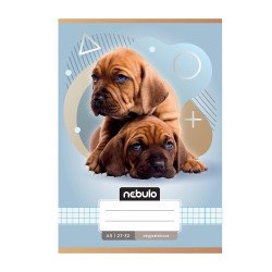 Füzet, A5, kockás, 27-32, Állatos minták, 16 db/csomag Nebulo