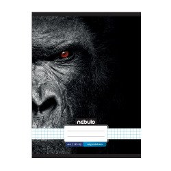 Füzet, A4, kockás, 87-32, Xtreme minták, 12 db/csomag Nebulo