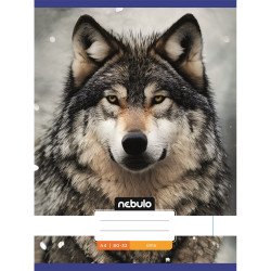 Füzet, A4, sima, 80-32, Állatos minták, 12 db/csomag Nebulo Író- irodaszer, papíráru Nebulo