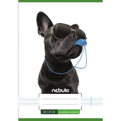 Füzet, A5, 4. osztályos vonalas, 21-32, Vagány minták, II., 16 db/csomag Nebulo