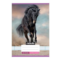 Füzet, A5, 2. osztályos vonalas, 16-32, Cuki minták, 16 db/csomag Nebulo