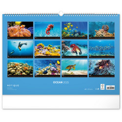 Falinaptár képes  480×330mm Ocean Wildlife Realsystem 2026.