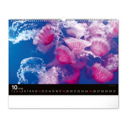 Falinaptár képes  480×330mm Ocean Wildlife Realsystem 2026.