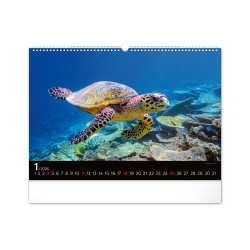 Falinaptár képes  480×330mm Ocean Wildlife Realsystem 2026.