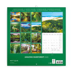 Falinaptár képes lemeznaptár 300x300mm, Amazing Rainforest Realsystem 2026.
