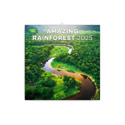 Falinaptár képes lemeznaptár 300x300mm, Amazing Rainforest Realsystem 2026. Falinaptár Realsystem
