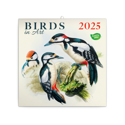 Falinaptár képes lemeznaptár 300x300mm, Birds in Art Realsystem 2026.