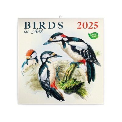Falinaptár képes lemeznaptár 300x300mm, Birds in Art Realsystem 2027.
