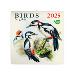 Falinaptár képes lemeznaptár 300x300mm, Birds in Art Realsystem 2026. Falinaptár Realsystem