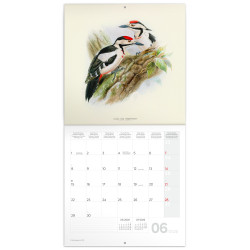 Falinaptár képes lemeznaptár 300x300mm, Birds in Art Realsystem 2026.