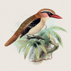 Falinaptár képes lemeznaptár 300x300mm, Birds in Art Realsystem 2027.