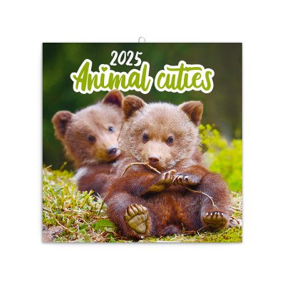 Falinaptár képes lemeznaptár 300x300mm, Animal Cuties Realsystem 2026.