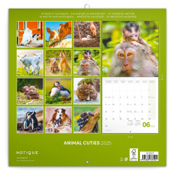 Falinaptár képes lemeznaptár 300x300mm, Animal Cuties Realsystem 2026.