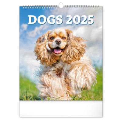 Falinaptár képes  300x340mm Dogs Realsystem 2026.