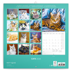 Falinaptár képes lemeznaptár 300x300mm, Cats Realsystem 2026.