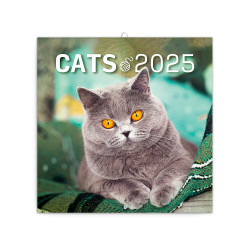 Falinaptár képes lemeznaptár 300x300mm, Cats Realsystem 2026. Falinaptár Realsystem