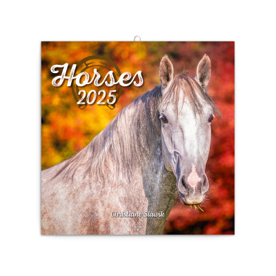 Falinaptár képes lemeznaptár 300x300mm, Horses – Christiane Slawik Realsystem 2026.