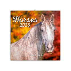 Falinaptár képes lemeznaptár 300x300mm, Horses – Christiane Slawik Realsystem 2026. Falinaptár Realsystem