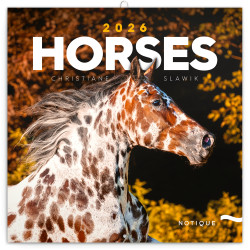 Falinaptár képes lemeznaptár 300x300mm, Horses – Christiane Slawik Realsystem 2026.