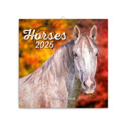 Falinaptár képes lemeznaptár 300x300mm, Horses – Christiane Slawik Realsystem 2026. Falinaptár Realsystem
