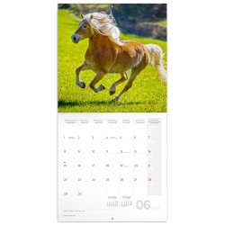 Falinaptár képes lemeznaptár 300x300mm, Horses – Christiane Slawik Realsystem 2027.