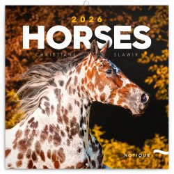Falinaptár képes lemeznaptár 300x300mm, Horses – Christiane Slawik Realsystem 2027.