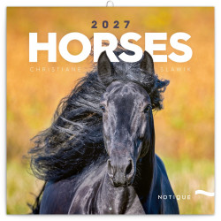Falinaptár képes lemeznaptár 300x300mm, Horses – Christiane Slawik Realsystem 2027. Falinaptár Realsystem