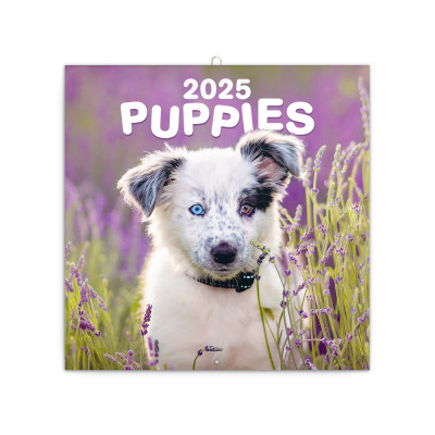 Falinaptár képes lemeznaptár 300x300mm, Puppies Realsystem 2026.