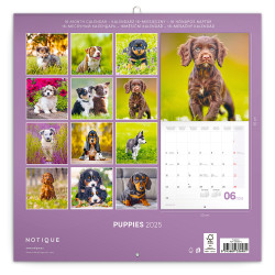 Falinaptár képes lemeznaptár 300x300mm, Puppies Realsystem 2026.