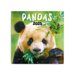 Falinaptár képes lemeznaptár 300x300mm, Pandas Realsystem 2027. Falinaptár Realsystem