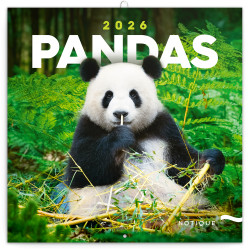 Falinaptár képes lemeznaptár 300x300mm, Pandas Realsystem 2026.