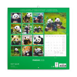 Falinaptár képes lemeznaptár 300x300mm, Pandas Realsystem 2027.