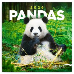 Falinaptár képes lemeznaptár 300x300mm, Pandas Realsystem 2027.