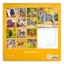 Falinaptár képes lemeznaptár 300x300mm, Wild Animals Realsystem 2026.