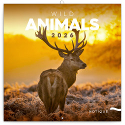 Falinaptár képes lemeznaptár 300x300mm, Wild Animals Realsystem 2026.