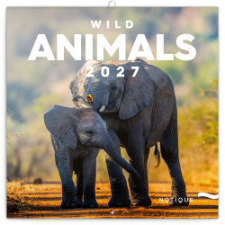 Falinaptár képes lemeznaptár 300x300mm, Wild Animals Realsystem 2027. Falinaptár Realsystem