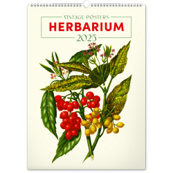 Falinaptár képes  330×460mm Vintage Posters-Herbarium Realsystem 2027. Falinaptár Realsystem