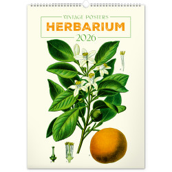 Falinaptár képes  330×460mm Vintage Posters-Herbarium Realsystem 2027.