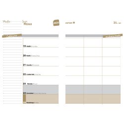 Hallgatói zsebkönyv A5, 145mmx205mm, fehér lapokkal face 2025/2026 Realsystem