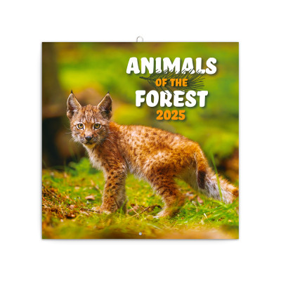 Falinaptár képes lemeznaptár 300x300mm, Endangered Animals Realsystem 2026.