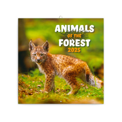 Falinaptár képes lemeznaptár 300x300mm, Endangered Animals Realsystem 2026. Falinaptár Realsystem