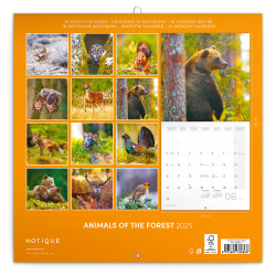 Falinaptár képes lemeznaptár 300x300mm, Endangered Animals Realsystem 2026.