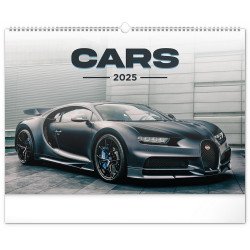 Falinaptár képes  480×330mm Cars  Realsystem 2027. Falinaptár Realsystem