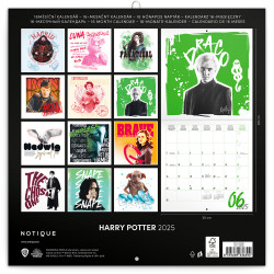 Falinaptár képes lemeznaptár 300x300mm, Harry Potter Realsystem 2026.